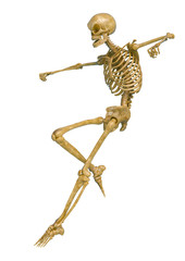skeleton is landing in a white background
