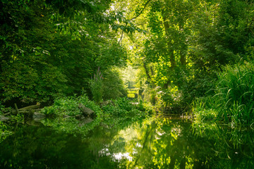 Fototapeta na wymiar The River Crane in West London, England