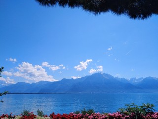 landscape with lake and mountains and flowers between vegetation view / paysage Montreux lac et...