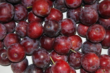 Delicious Fruit Cherry Plums, Prunus Cerasifera