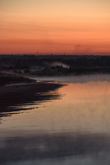 Birds in the summer night on the river bank.