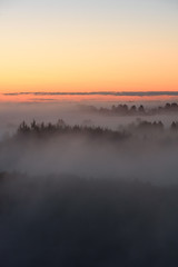 Fototapeta premium Midnight fog