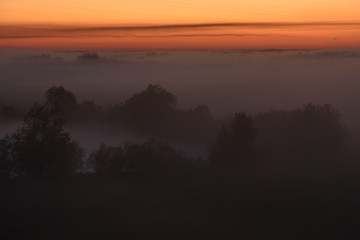 Fototapeta na wymiar Midnight fog