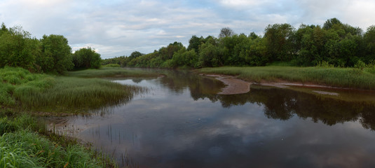 Obraz premium Overgrown bank of the river