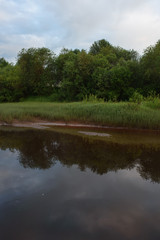 Fototapeta premium Overgrown bank of the river