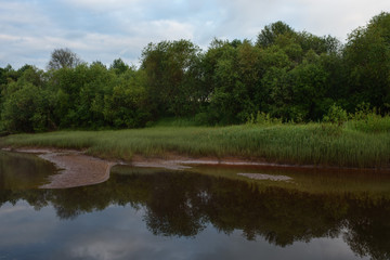 Fototapeta premium Overgrown bank of the river