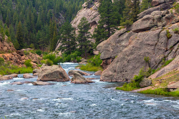 Eleven Mile Canyon