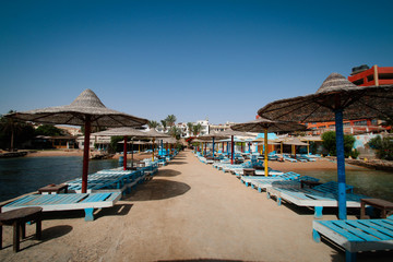 the beach 
