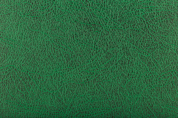 Texture of green skin with black patches.