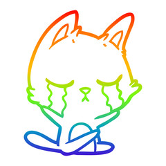 rainbow gradient line drawing crying cartoon cat