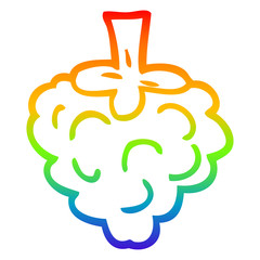 rainbow gradient line drawing cartoon raspberry