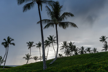 Fototapeta na wymiar Beautiful Oahu vista at sunset, Hawaii