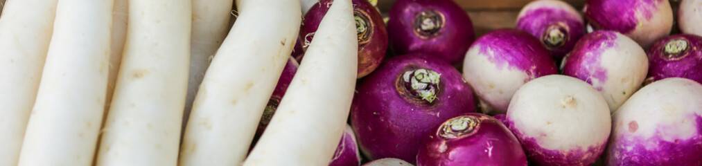 Graphic design of turnips and parsnips.