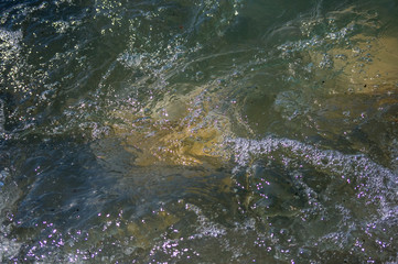 pebble stones on the sea beach, the rolling waves of the sea with foam