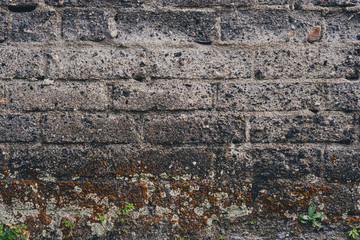 Texture file that can also be used for compositing	