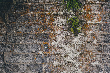 Texture file that can also be used for compositing	