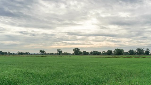 time lapse sky and rice fields