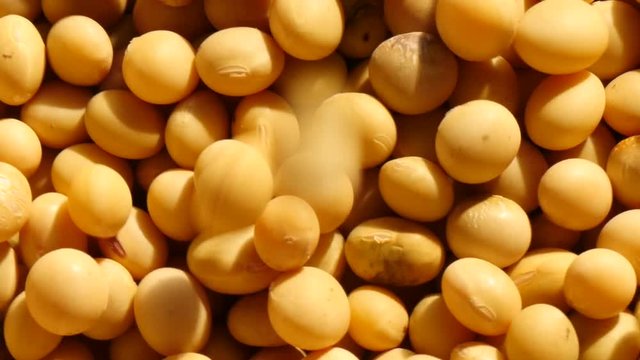 Falling mass of soybeans on rotate
