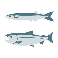 秋刀魚と鮭