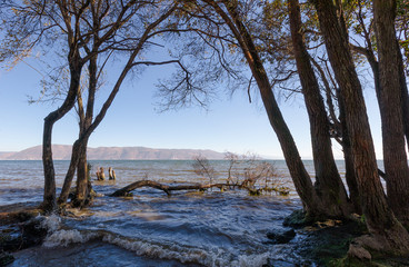 Lake Erhai and trees standing in the water with mountains on the background, Dali, Yunan, China