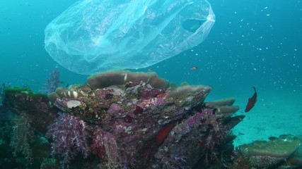 Plastic bag floating underwater over tropical coral reef 