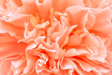 Glasses black color on a white background, a photo of a coral tone