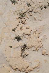 surface of arid zone