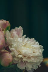 Peony flowers