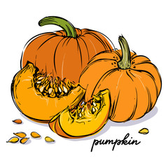 Pumpkin vector illustration - 275574236