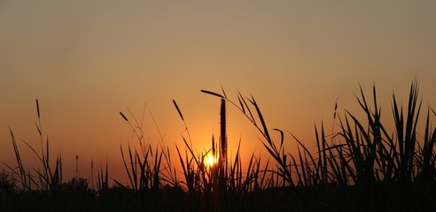 Fototapeta premium In the evening, beautiful sunsets in Thailand