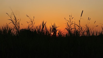 Obraz premium In the evening, beautiful sunsets in Thailand