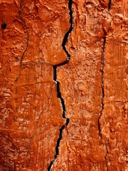 Fototapeta premium Wood crack wallpaper textured.