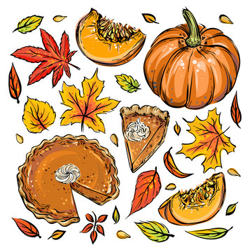 Vector set with leaves, pumpkins and pies