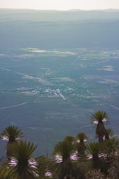 Vista desde el cerro del quemado en Wirikuta Rela de Catorce