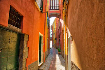 Manarola colorful scenic streets © eskystudio