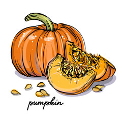 Pumpkin vector illustration - 275575243