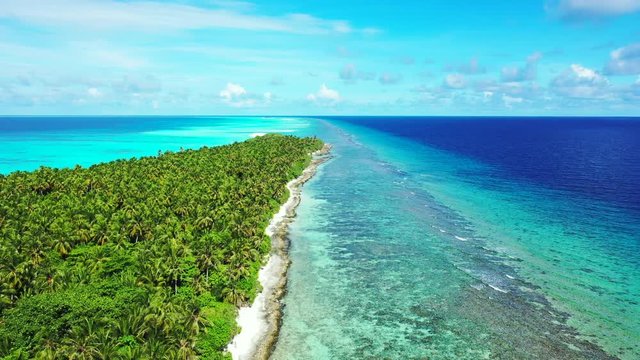 Aerial view, flying sideways above a forest tree on a tropical island with palm trees on it. Turquoise water and and blue water with reefs on the left. In Philippines. Truck left