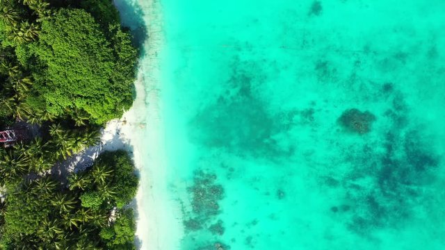 Looking down while flying along the shore of an island in Hawaii. Palm trees and some roofs. The sea is turquoise. Dolly out.