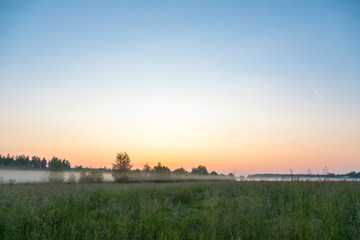 sunrise in the field