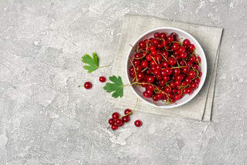 Fresh red currant berry in white bowl on gray