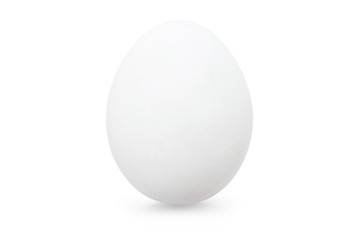 White Egg. Single Chicken Egg Isolated on White. Full Depth of Field