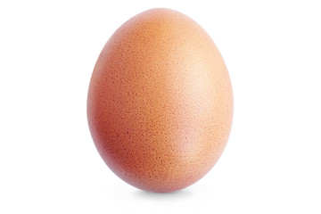 Brown Egg. Single Chicken Egg Isolated on White. Full Depth of Field
