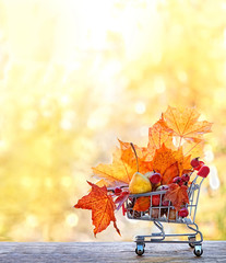 Thanksgiving day concept, harvest, autumn sales. maple leaves, acorns, berries and pear in supermarket cart. fall season. copy space
