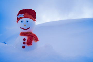 Image of a snowman. Handiwork.