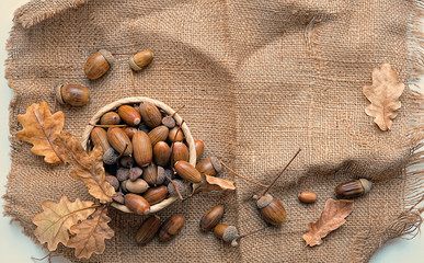 acorns on burlap texture background. autumn season concept. Burlap rustic background with acorns...