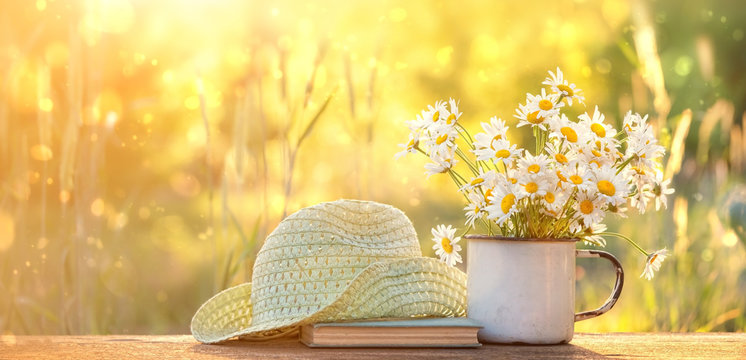 beautiful composition with chamomile flowers in Cup, old book, braided hat in summer garden. Rural landscape natural background with Chamomile in sunlight. Summertime season. copy space