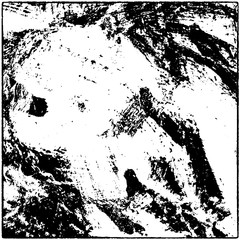 Monochrome grunge background. Vector black and white texture