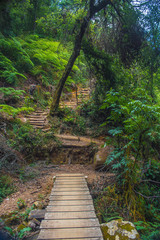 Tomas de las cascadas paraiso en honey puebla