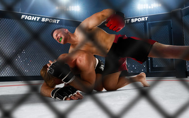 MMA fighters on ring. Fighting Championship.