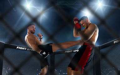 MMA fighters on ring. Fighting Championship.